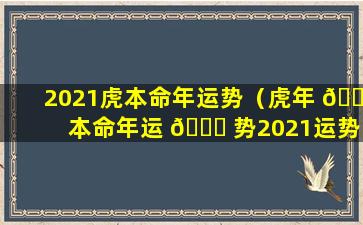 2021虎本命年运势（虎年 🌹 本命年运 🐛 势2021运势详解）